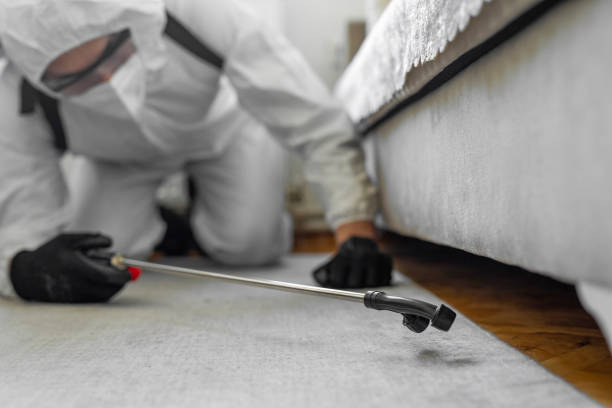 Professional Ant Control technician working in Richgrove, CA